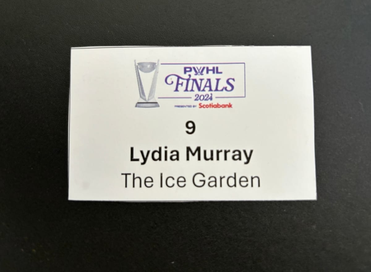 PWHL Finals Diary: Part 2