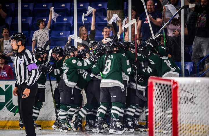 All Boston players are celebrating with a group hug in the corner. They are wearing green home jerseys.